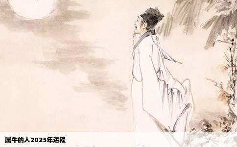 属牛的人2025年运程