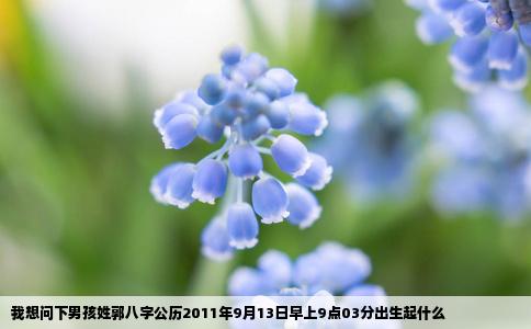 我想问下男孩姓郭八字公历2011年9月13日早上9点03分出生起什么