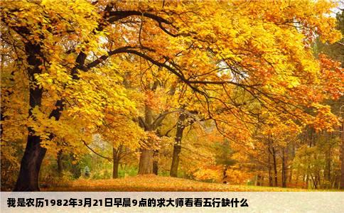 我是农历1982年3月21日早晨9点的求大师看看五行缺什么