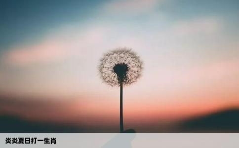 炎炎夏日打一生肖
