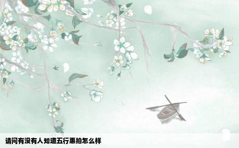 请问有没有人知道五行惠拍怎么样