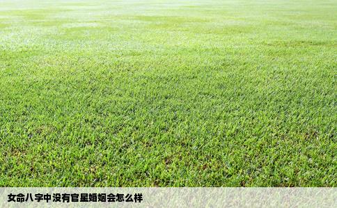 女命八字中没有官星婚姻会怎么样