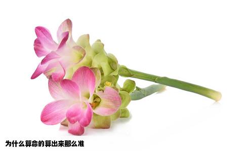 为什么算命的算出来那么准