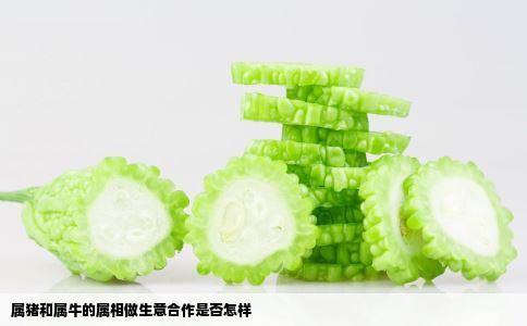 属猪和属牛的属相做生意合作是否怎样