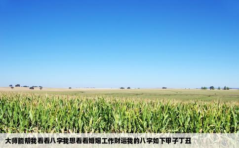 大师能帮我看看八字我想看看婚姻工作财运我的八字如下甲子丁丑