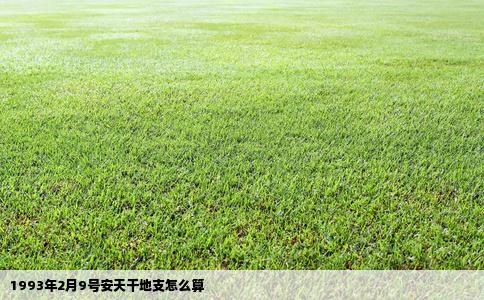 1993年2月9号安天干地支怎么算