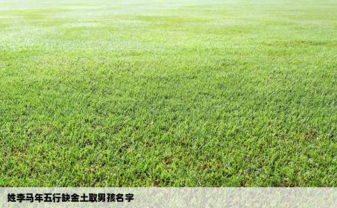 姓李马年五行缺金土取男孩名字
