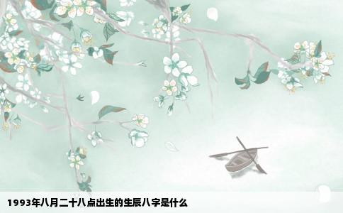 1993年八月二十八点出生的生辰八字是什么