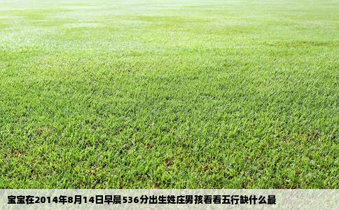 宝宝在2014年8月14日早晨536分出生姓庄男孩看看五行缺什么最