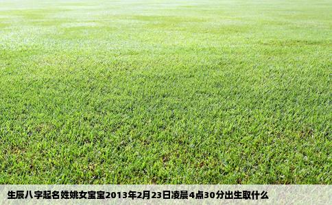 生辰八字起名姓姚女宝宝2013年2月23日凌晨4点30分出生取什么