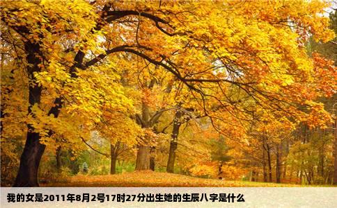 我的女是2011年8月2号17时27分出生她的生辰八字是什么