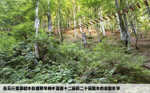 在五行里面却木在康熙字典中需要十二画和二十画属木的来取名字