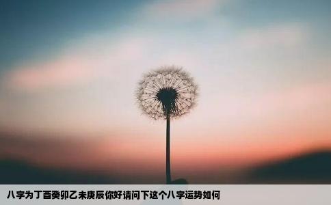 八字为丁酉癸卯乙未庚辰你好请问下这个八字运势如何