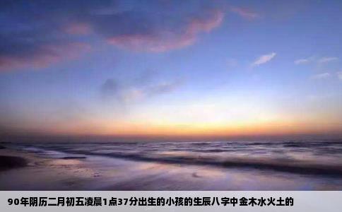 90年阴历二月初五凌晨1点37分出生的小孩的生辰八字中金木水火土的