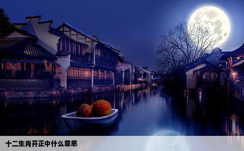 十二生肖开正中什么意思