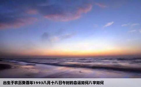 出生于农历癸酉年1993八月十八日午时的命运如何八字如何