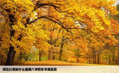 测五行看缺什么根据八字把名字再改改