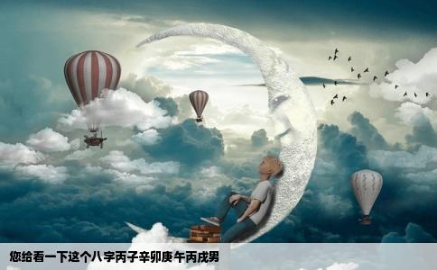 您给看一下这个八字丙子辛卯庚午丙戌男