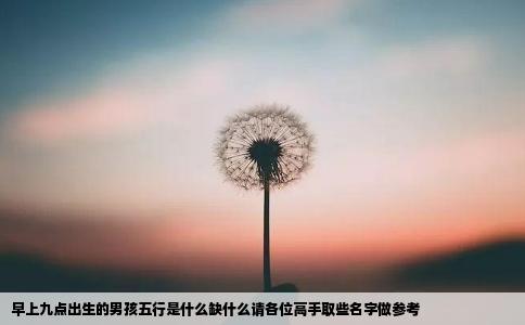 早上九点出生的男孩五行是什么缺什么请各位高手取些名字做参考