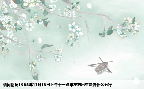 请问阴历1988年11月13日上午十一点半左右出生是属什么五行