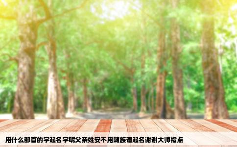 用什么部首的字起名字呢父亲姓安不用随族谱起名谢谢大师指点