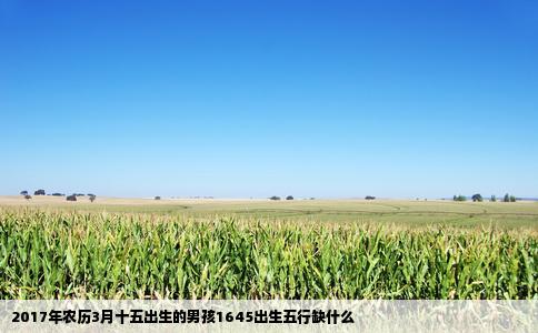 2017年农历3月十五出生的男孩1645出生五行缺什么