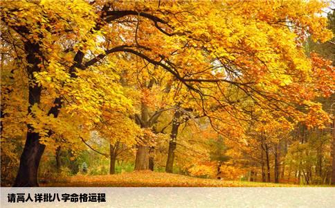 请高人详批八字命格运程