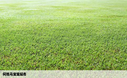 何姓马宝宝起名