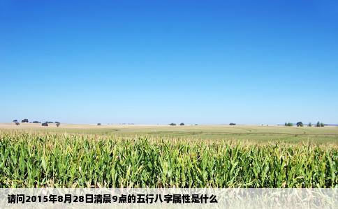 请问2015年8月28日清晨9点的五行八字属性是什么