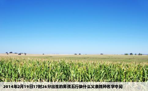 2014年2月19日17时26分出生的男孩五行缺什么父亲姓孙名字中间