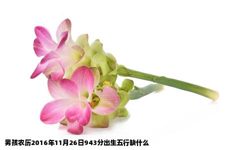 男孩农历2016年11月26日943分出生五行缺什么