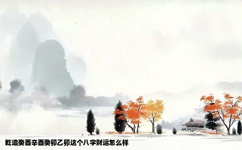 乾造癸酉辛酉癸卯乙卯这个八字财运怎么样