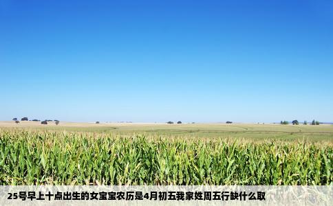 25号早上十点出生的女宝宝农历是4月初五我家姓周五行缺什么取