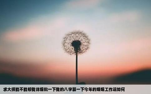 求大师能不能帮我详细批一下我的八字算一下今年的婚姻工作运如何