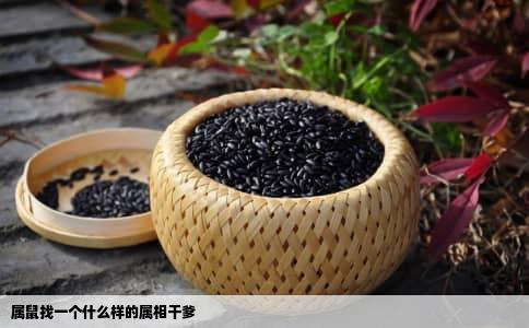 属鼠找一个什么样的属相干爹