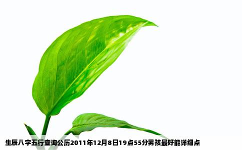 生辰八字五行查询公历2011年12月8日19点55分男孩最好能详细点