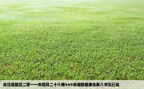 生日是阴历二零一一年四月二十八晚909希望能根据生辰八字五行起