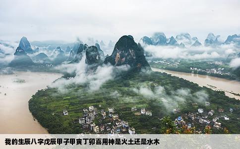 我的生辰八字戊辰甲子甲寅丁卯喜用神是火土还是水木