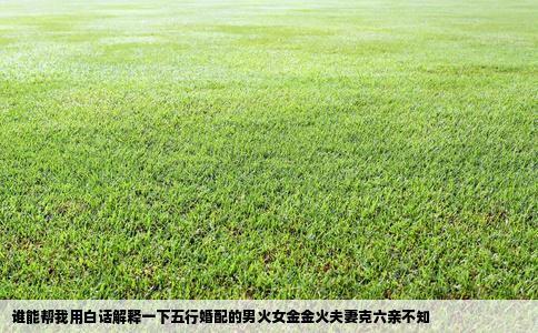 谁能帮我用白话解释一下五行婚配的男火女金金火夫妻克六亲不知