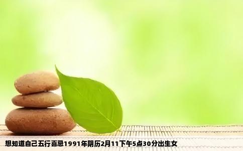 想知道自己五行喜忌1991年阴历2月11下午5点30分出生女