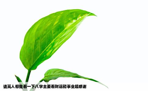 请高人帮我看一下八字主要看财运和事业超感谢