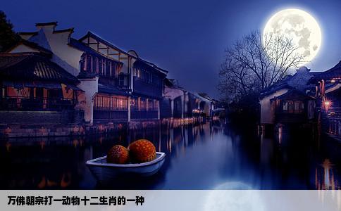 万佛朝宗打一动物十二生肖的一种