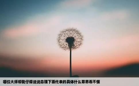 哪位大师帮我仔细说说命理下面代表的具体什么意思看不懂