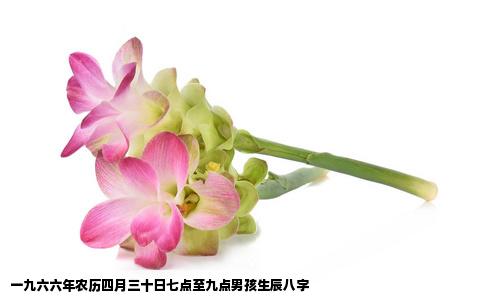 一九六六年农历四月三十日七点至九点男孩生辰八字