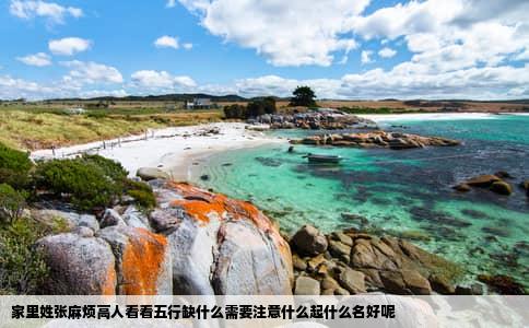 家里姓张麻烦高人看看五行缺什么需要注意什么起什么名好呢