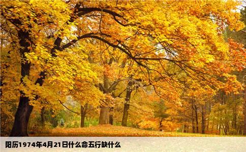 阳历1974年4月21日什么命五行缺什么