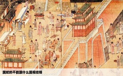 属蛇的不能跟什么属相结婚