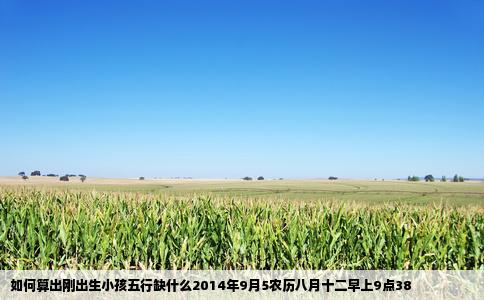 如何算出刚出生小孩五行缺什么2014年9月5农历八月十二早上9点38