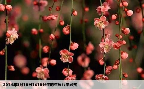 2014年3月18日1618分生的生辰八字男孩