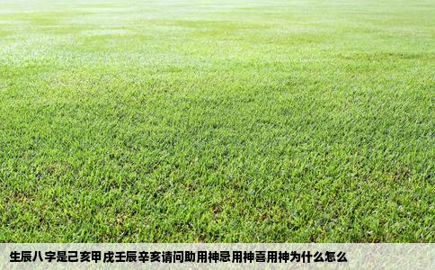 生辰八字是己亥甲戌壬辰辛亥请问助用神忌用神喜用神为什么怎么
